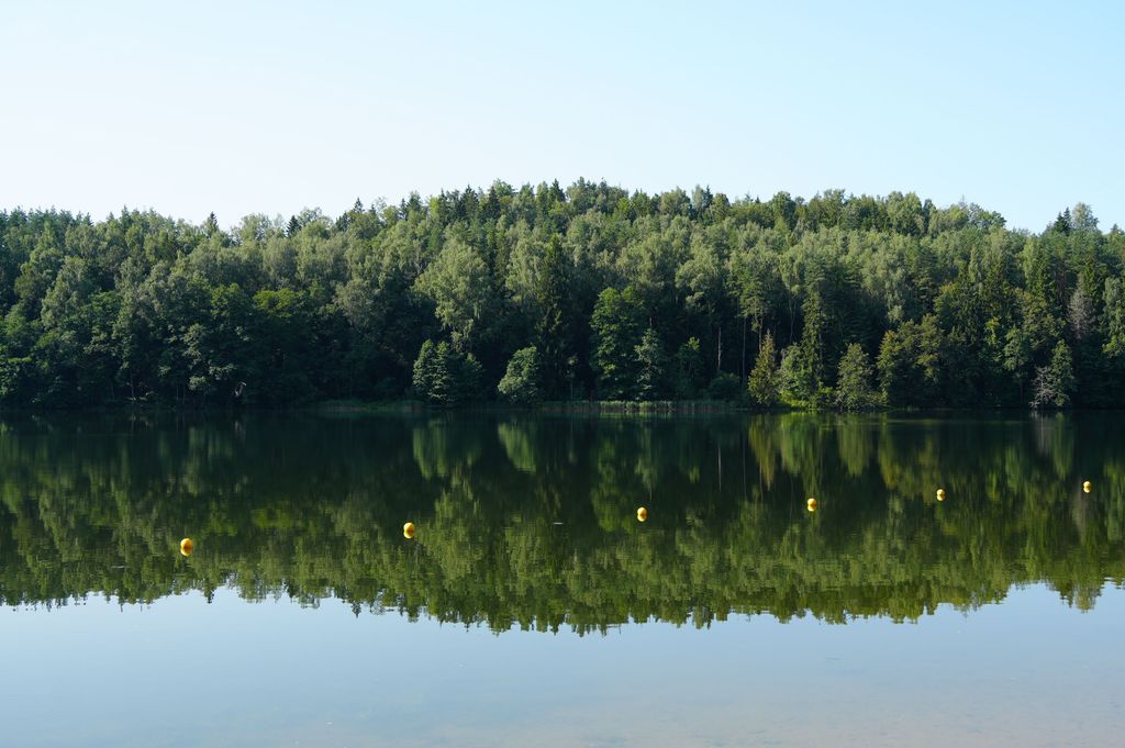 Lake activities in a peaceful natural setting ideal for relaxation and reflection.